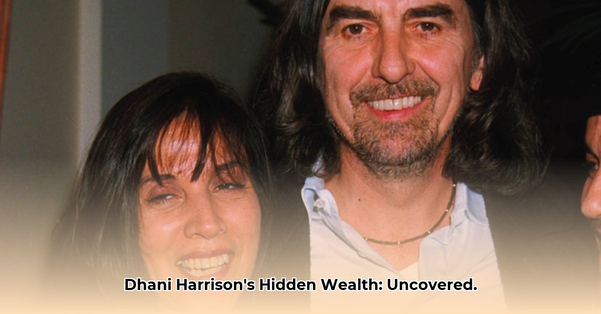 dhani-harrison-net-worth